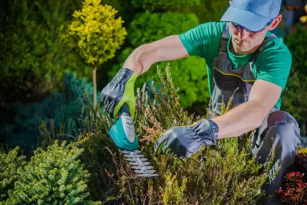 landscaping services New Bremen